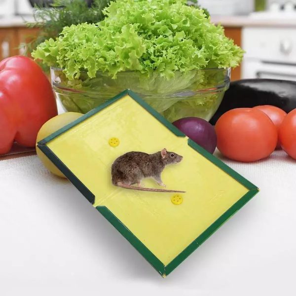 (Pack of 2) Reusable Expert Catch Mouse & Rat Glue Catch Trap